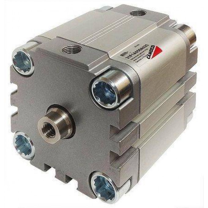 Пневмоцилиндр одностороннего действия CAMOZZI 31F1A016A015 138273