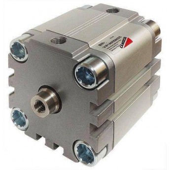 Пневмоцилиндр одностороннего действия CAMOZZI 31F1A025A015 138278 Пневмоцилиндр одностороннего действия CAMOZZI 31F1A025A015 138278