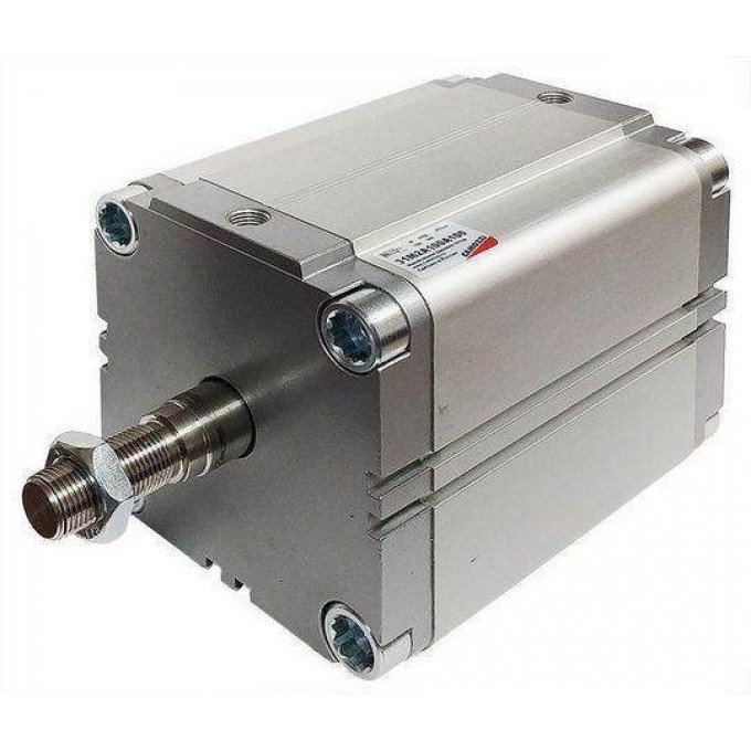 Пневмоцилиндр компактный двойного действия CAMOZZI 31M2A100A020 140336